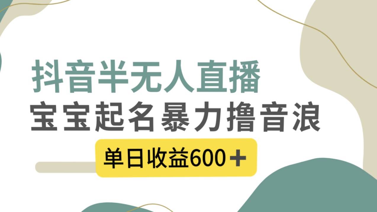 抖音半无人直播，宝宝起名，暴力撸音浪，单日收益600+小鳄启创-网创项目资源站-副业项目-创业项目-搞钱项目小鳄启创