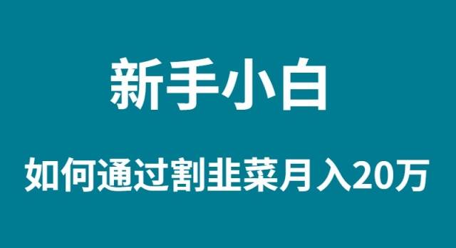 新手小白如何通过割韭菜月入 20W小鳄启创-网创项目资源站-副业项目-创业项目-搞钱项目小鳄启创