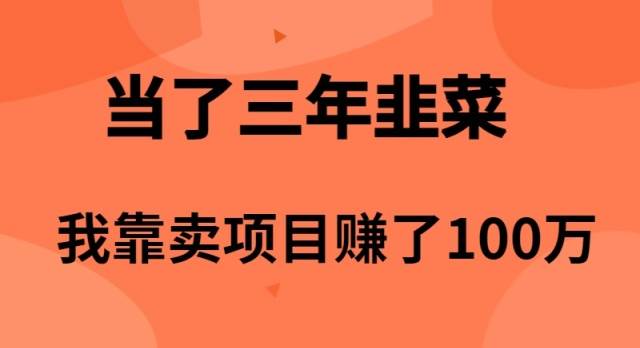 当了3年韭菜，我靠卖项目赚了100万小鳄启创-网创项目资源站-副业项目-创业项目-搞钱项目小鳄启创