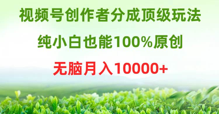 视频号创作者分成顶级玩法，纯小白也能100%原创，无脑月入10000+小鳄启创-网创项目资源站-副业项目-创业项目-搞钱项目小鳄启创