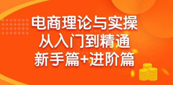 电商理论与实操从入门到精通 新手篇+进阶篇小鳄启创-网创项目资源站-副业项目-创业项目-搞钱项目小鳄启创