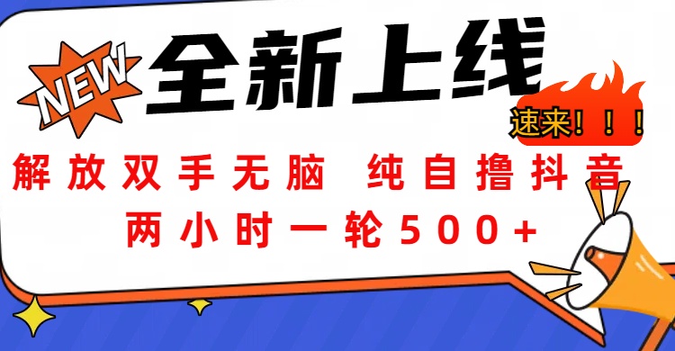 解放双手无脑 纯自撸抖音 两小时一轮500+小鳄启创-网创项目资源站-副业项目-创业项目-搞钱项目小鳄启创