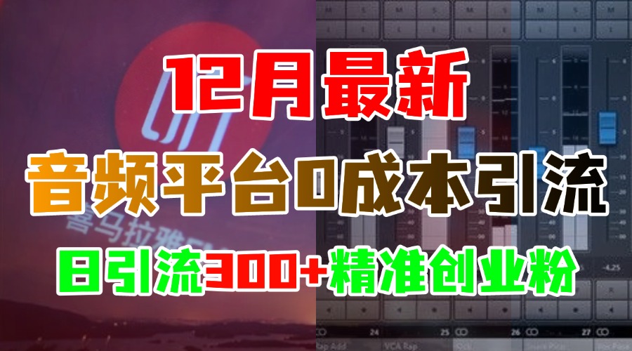12月最新：音频平台0成本引流，日引300+精准创业粉小鳄启创-网创项目资源站-副业项目-创业项目-搞钱项目小鳄启创
