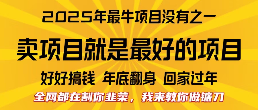 全网都在割你韭菜，我来教你做镰刀。卖项目就是最好的项目，2025年最牛互联网项目小鳄启创-网创项目资源站-副业项目-创业项目-搞钱项目小鳄启创