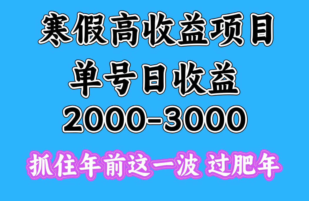 寒假期间一天收益2000-3000+，抓住年前这一波小鳄启创-网创项目资源站-副业项目-创业项目-搞钱项目小鳄启创