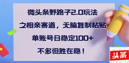 全网首发微头条野路子2.0玩法之相亲赛道，无脑搬砖复制粘贴，单账号日稳定300+保姆级教程小鳄启创-网创项目资源站-副业项目-创业项目-搞钱项目小鳄启创