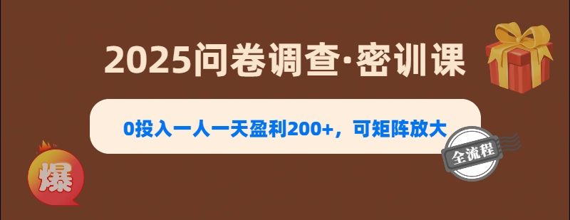 2025《问卷调查》0投入一人一天盈利200+，可矩阵放大小鳄启创-网创项目资源站-副业项目-创业项目-搞钱项目小鳄启创