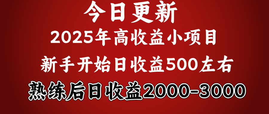 好项目一眼就能看出来，日收益1000，长久可做，2025拼的就是我比你勤奋小鳄启创-网创项目资源站-副业项目-创业项目-搞钱项目小鳄启创