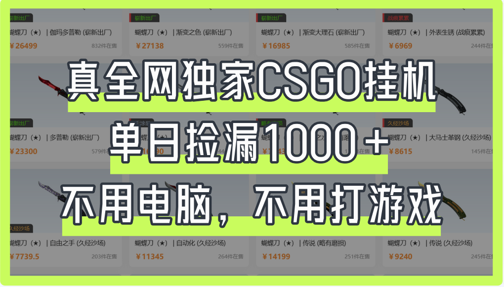真全网独家CSGO挂机，单日捡漏1000+小鳄启创-网创项目资源站-副业项目-创业项目-搞钱项目小鳄启创