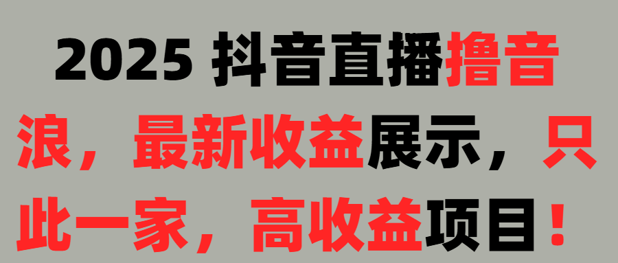 2025 抖音直播撸音浪，最新收益展示，只此一家，高收益项目！小鳄启创-网创项目资源站-副业项目-创业项目-搞钱项目小鳄启创